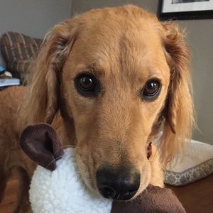 Meet your Posher, Tanya